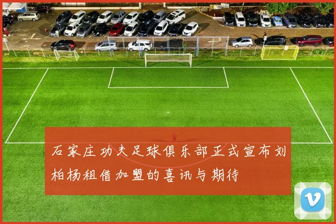 石家庄功夫足球俱乐部正式宣布刘柏杨租借加盟的喜讯与期待
